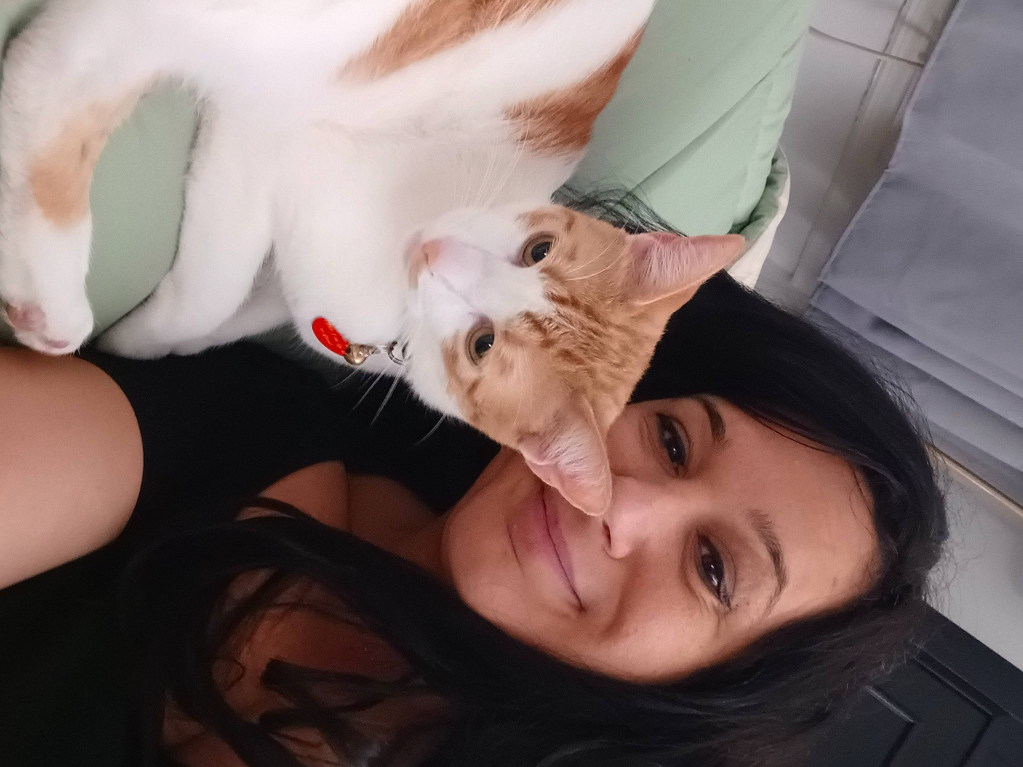 Weasley joined the competition — help win amazing prizes! carnivore, cat, chin, ear, eyebrow, eyelash, fawn, felidae, finger, gesture, happy, jaw, mouth, neck, nose, organ, plant, skin, small_to_medium_sized_cats, smile