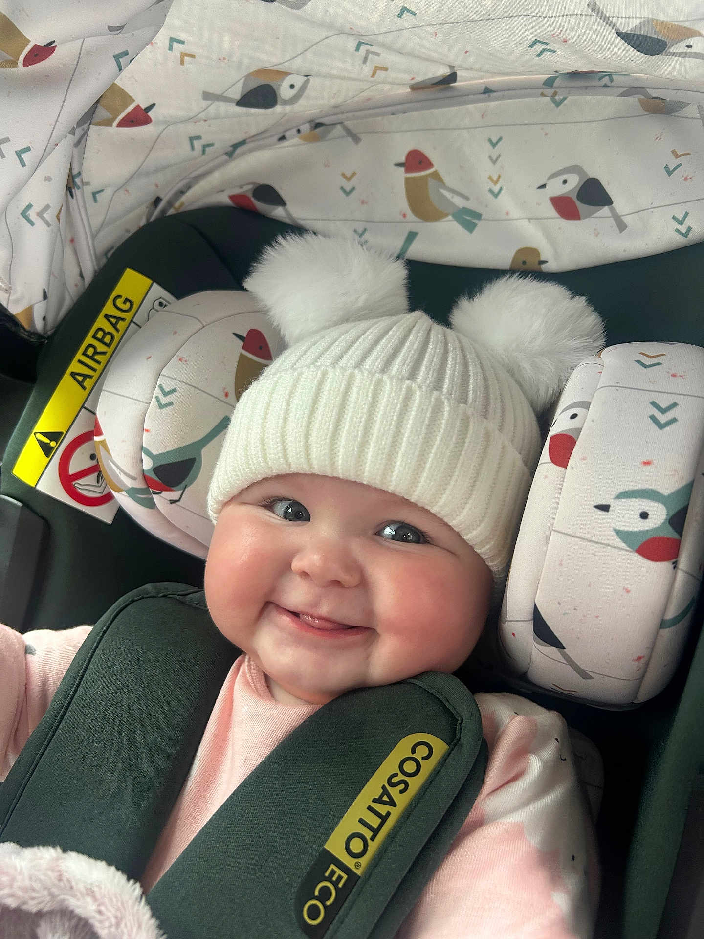 Iris joined the competition — help win amazing prizes! baby, car_seat, hat, smile, child, infant, pom_poms, clothing, seatbelt, bird_pattern, cute, cheeks, pink_shirt, safety, headwear, indoor, happy, young_child, cozy, portrait