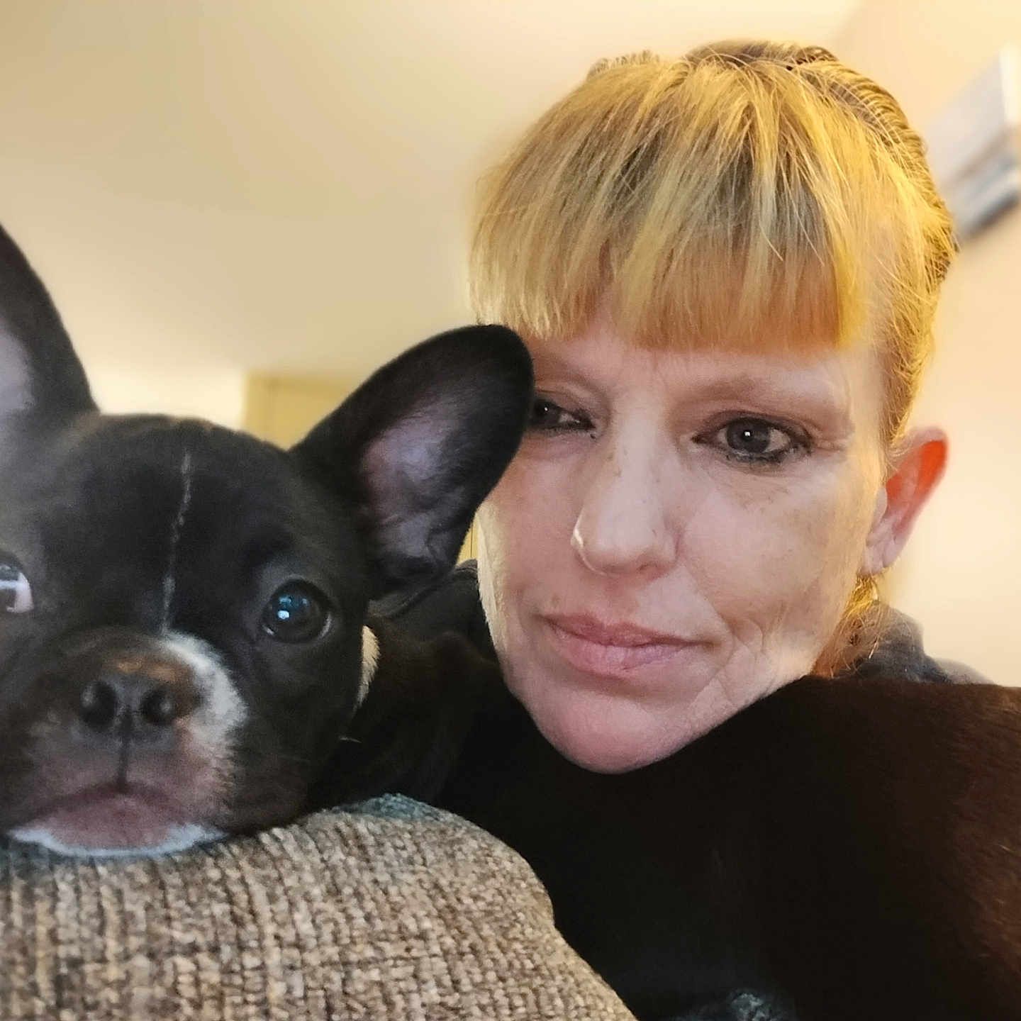 Luna Wells is registered to the contest to win money with this photo: animal, black_and_white, close_up, companion, couch, dog, ear, expression, face, french_bulldog, furniture, human, indoor, nose, pet, portrait, puppy, relaxing, snout, woman