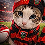 Victor participe au concours pour gagner de l'argent avec cette photo : animal, animal_portrait, blue_eyes, cat, closeup, cute, fan_gear, feline, grass, outdoor, pet, portrait, red_black, rugby_ball, scarf, sports_hat, stadium, striped_fur, team_spirit, whiskers