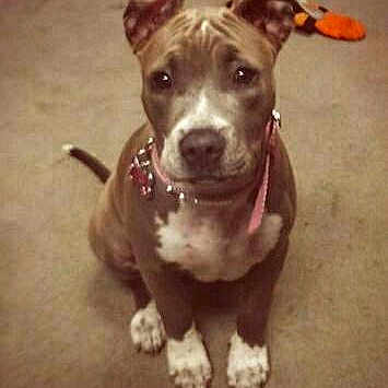 Roxy is registered to the contest to win money with this photo: