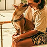 Brigitte a rejoint le concours — aidez-le/la à gagner de superbes lots ! woman, dog, pet, animal, kiss, affection, indoors, warm_lighting, portrait, cuddle, harness, striped_harness, short_hair, smiling, sitting, table, coffee_cup, home, cozy, companionship