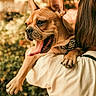 dog, french_bulldog, pet, animal, portrait, outdoor, person, carrying, happy, panting, tongue, open_mouth, pointed_ears, short_hair, brown_dog, collar, leash, greenery, bokeh, sunlight