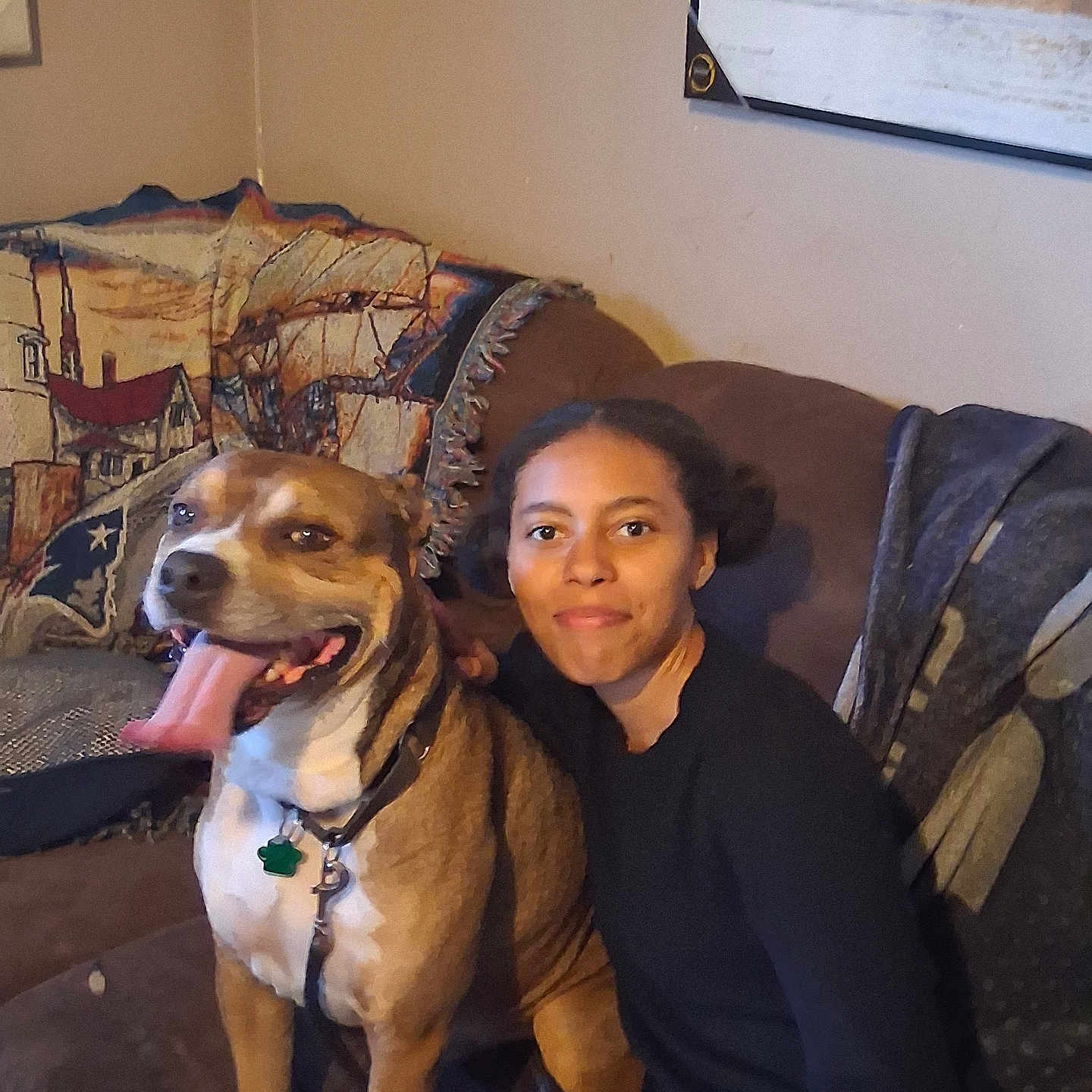 Brosko joined the competition — help win amazing prizes! black_shirt, blanket, blue_jeans, brown_dog, canine, collar, couch, dog, furniture, happy, home, indoor, leash, person, pet, portrait, seated, smile, tongue_out, wall_art