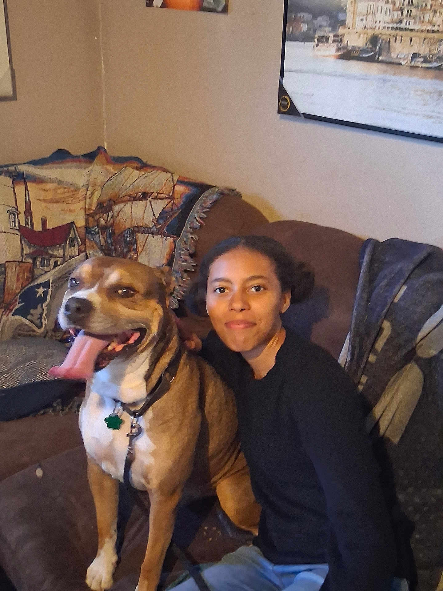 Brosko joined the competition — help win amazing prizes! black_shirt, blanket, blue_jeans, brown_dog, canine, collar, couch, dog, furniture, happy, home, indoor, leash, person, pet, portrait, seated, smile, tongue_out, wall_art