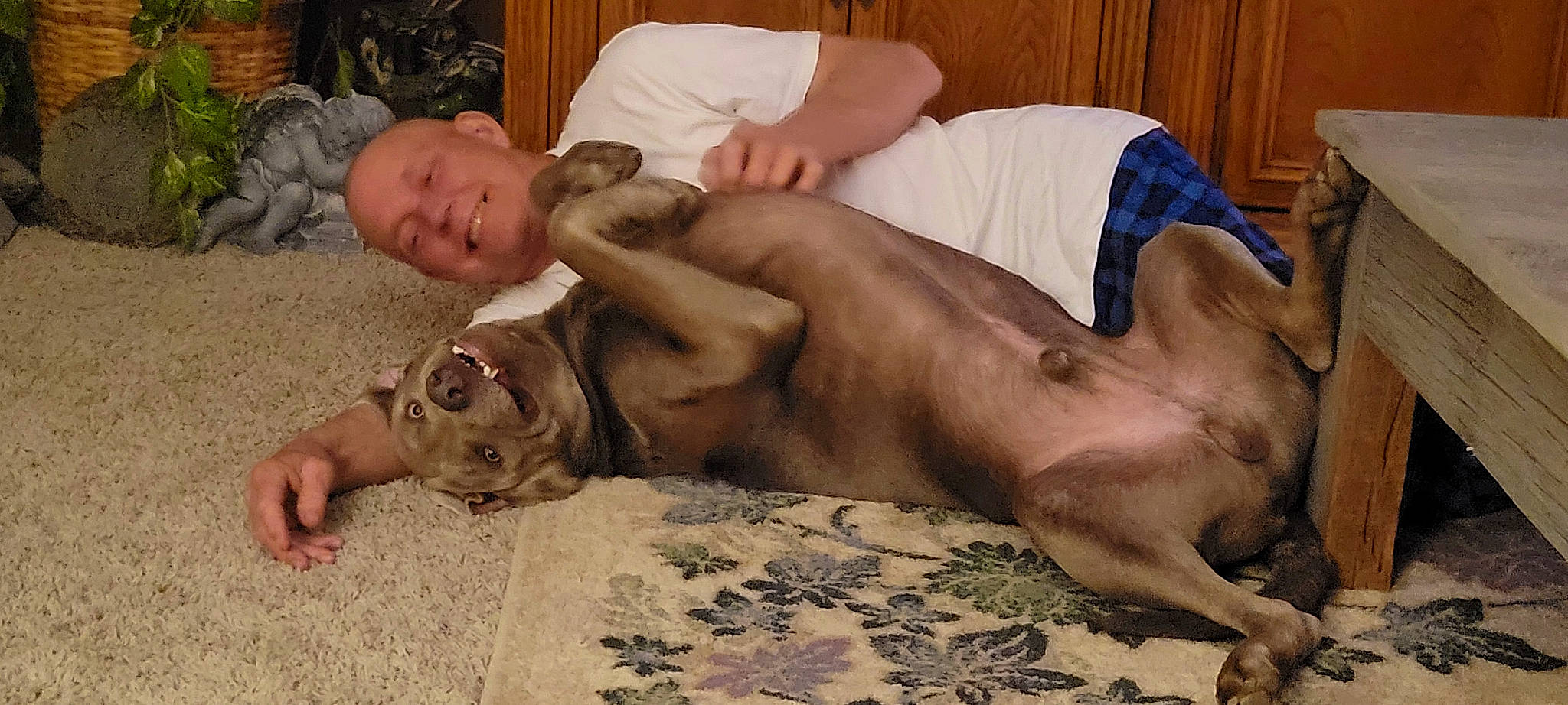 Hooch is registered to the contest to win money with this photo: abdomen, barechested, barefoot, canidae, chest, child, comfort, event, fawn, flesh, fun, human_leg, knee, linens, muscle, navel, room, shorts, thigh, trunk