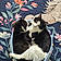 Luna And Lucy