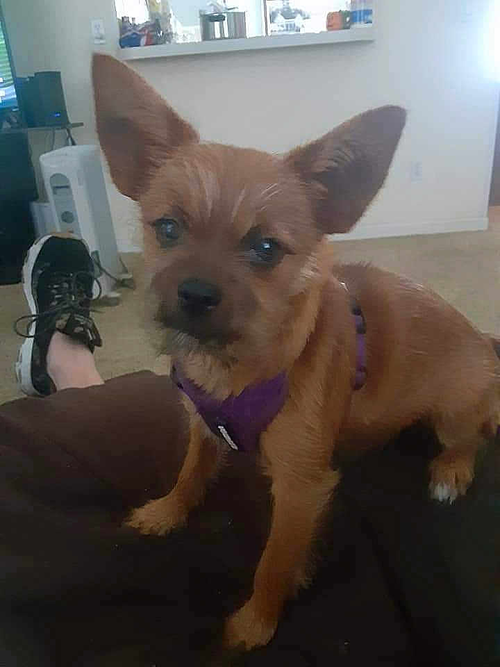Lucy