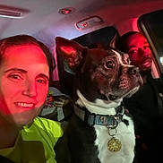 Dash is registered to the contest to win money with this photo: dog, boston_terrier, person, car, seatbelt, collar, tag, indoor, night, red_light, smile, face, pet, animal, vehicle_interior, human, portrait, candid, companion, closeup