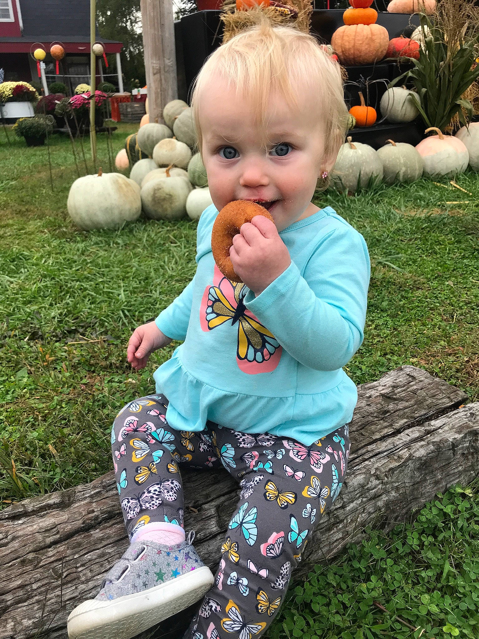 Claire is registered to the contest to win money with this photo: baby, child, grass, joy, person, plant, play, sitting, toddler