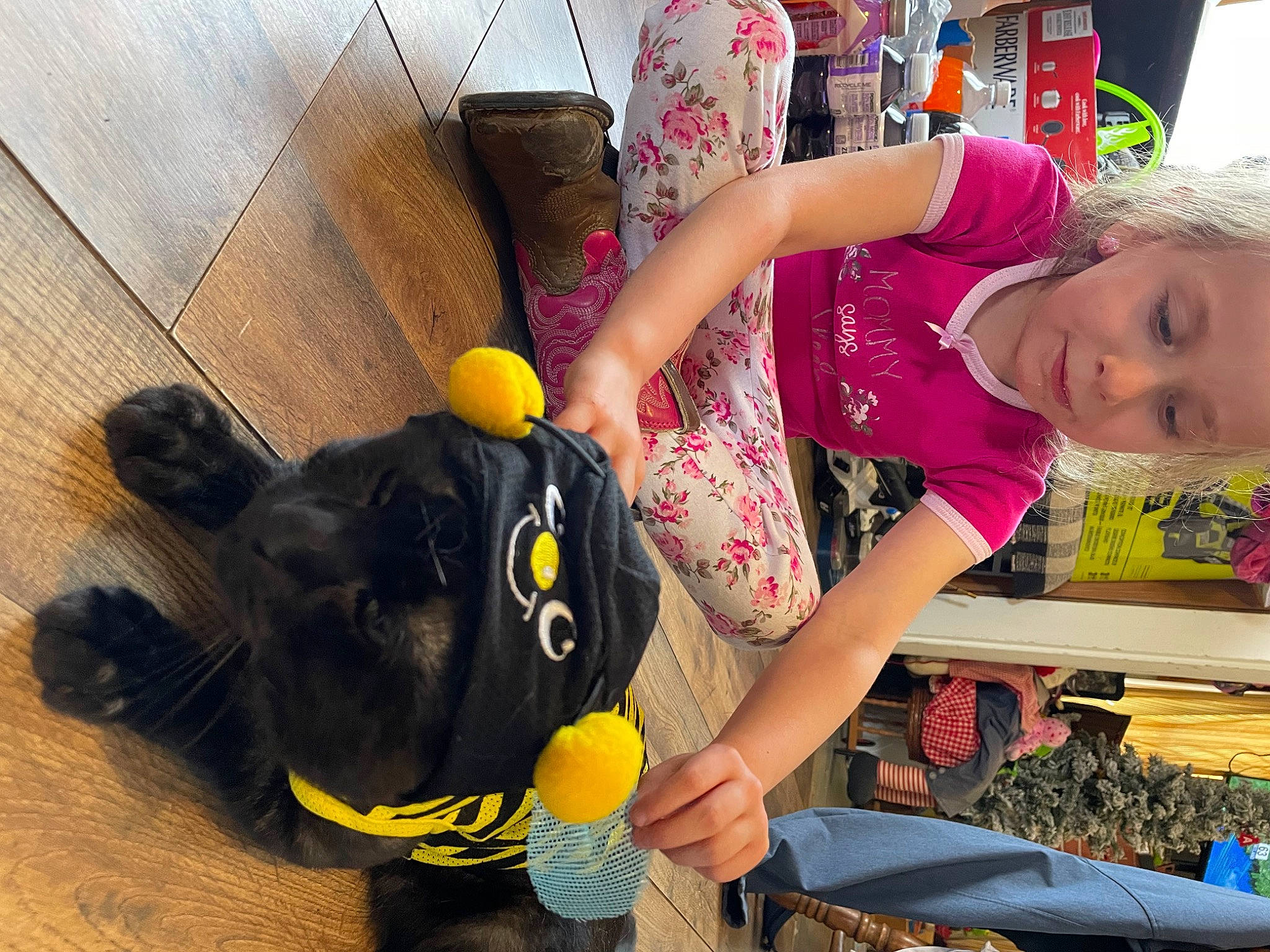 Bounce is registered to the contest to win money with this photo: bag, child, companion_dog, dog_breed, flooring, fun, fur, glove, happy, leisure, luggage_and_bags, personal_protective_equipment, play, room, stuffed_toy, t_shirt, teddy_bear, toddler, toy, yellow