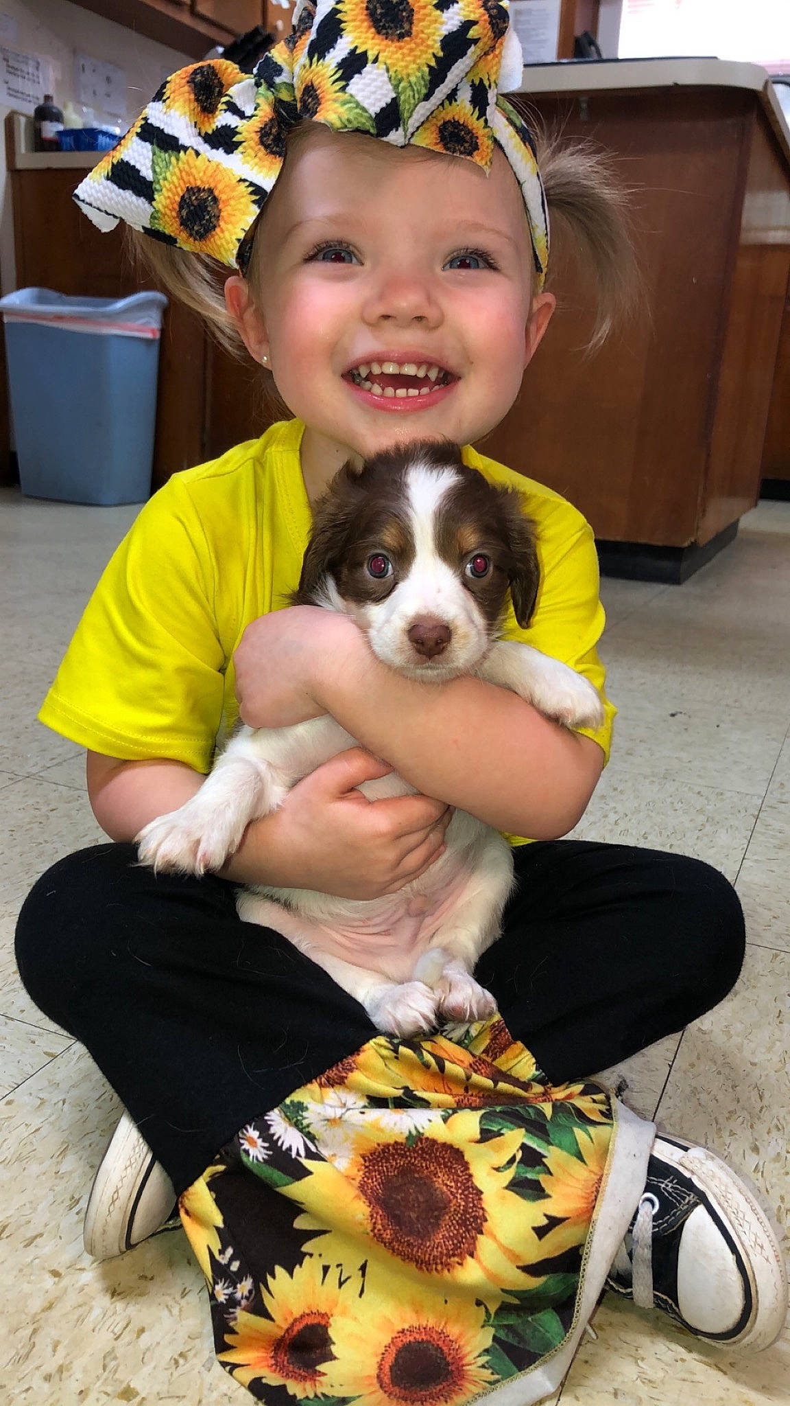 Ava-rae is registered to the contest to win money with this photo: canidae, carnivore, companion_dog, dog, dog_breed, headwear, joy, mammal, miniature_australian_shepherd, moscow_watchdog, person, puppy, puppy_love, sporting_group, st_bernard, vertebrate