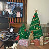 cat, black_and_white_cat, christmas_tree, christmas, presents, gift_wrapping, living_room, bicycle, television, wooden_floor, holiday_decorations, ornaments, star, garland, red_bow, furniture, indoor, pet, festive, home_decor