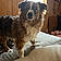 Zoey
