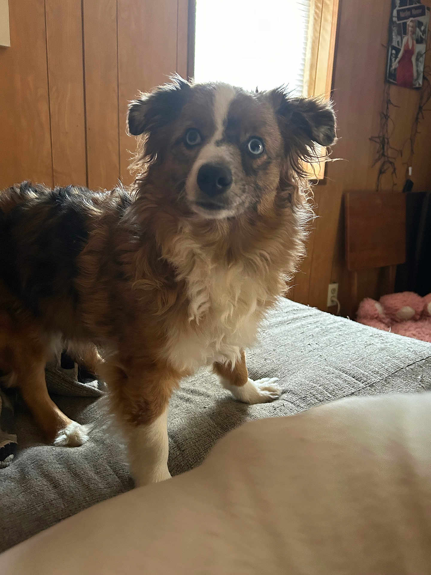Zoey