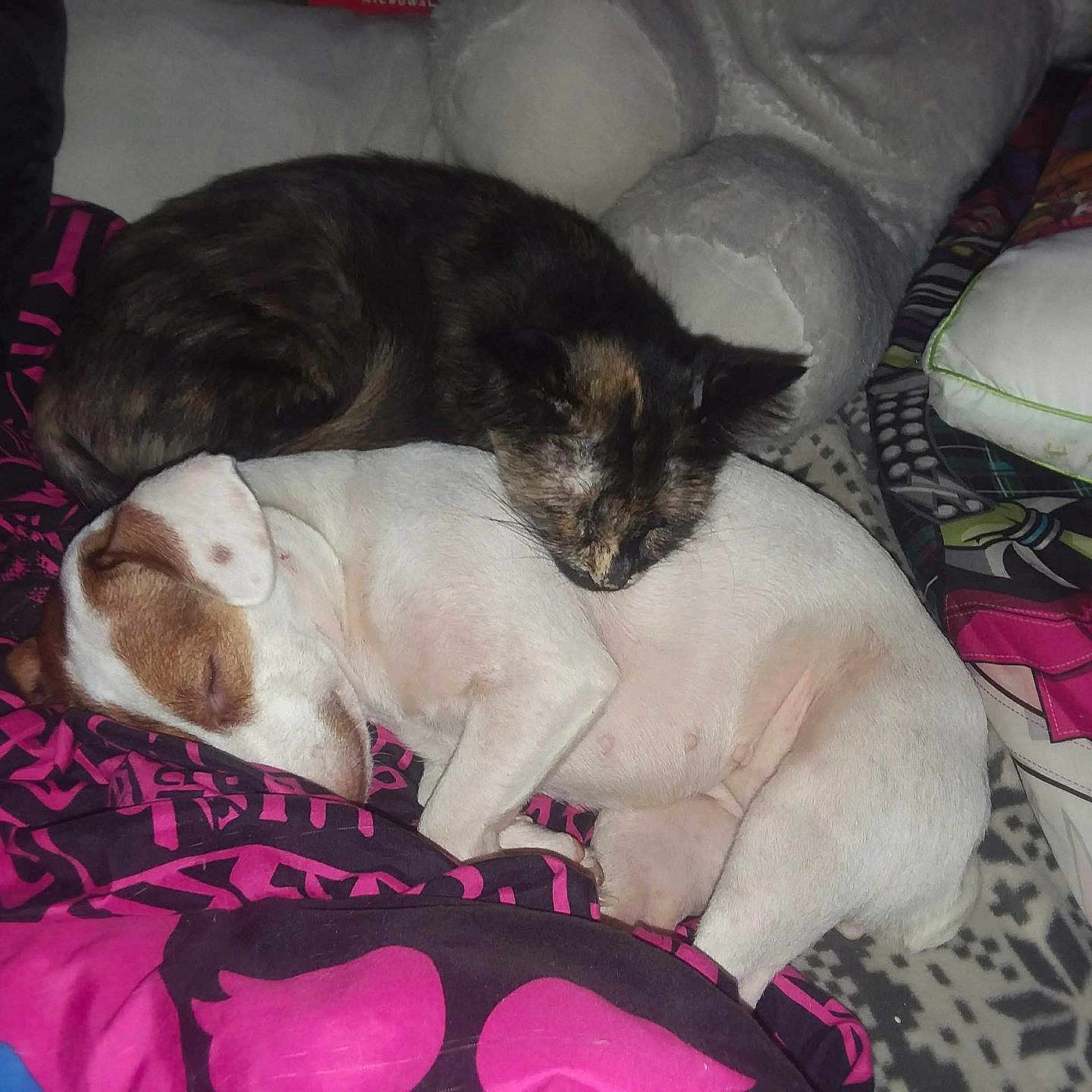 Baby And Tilly