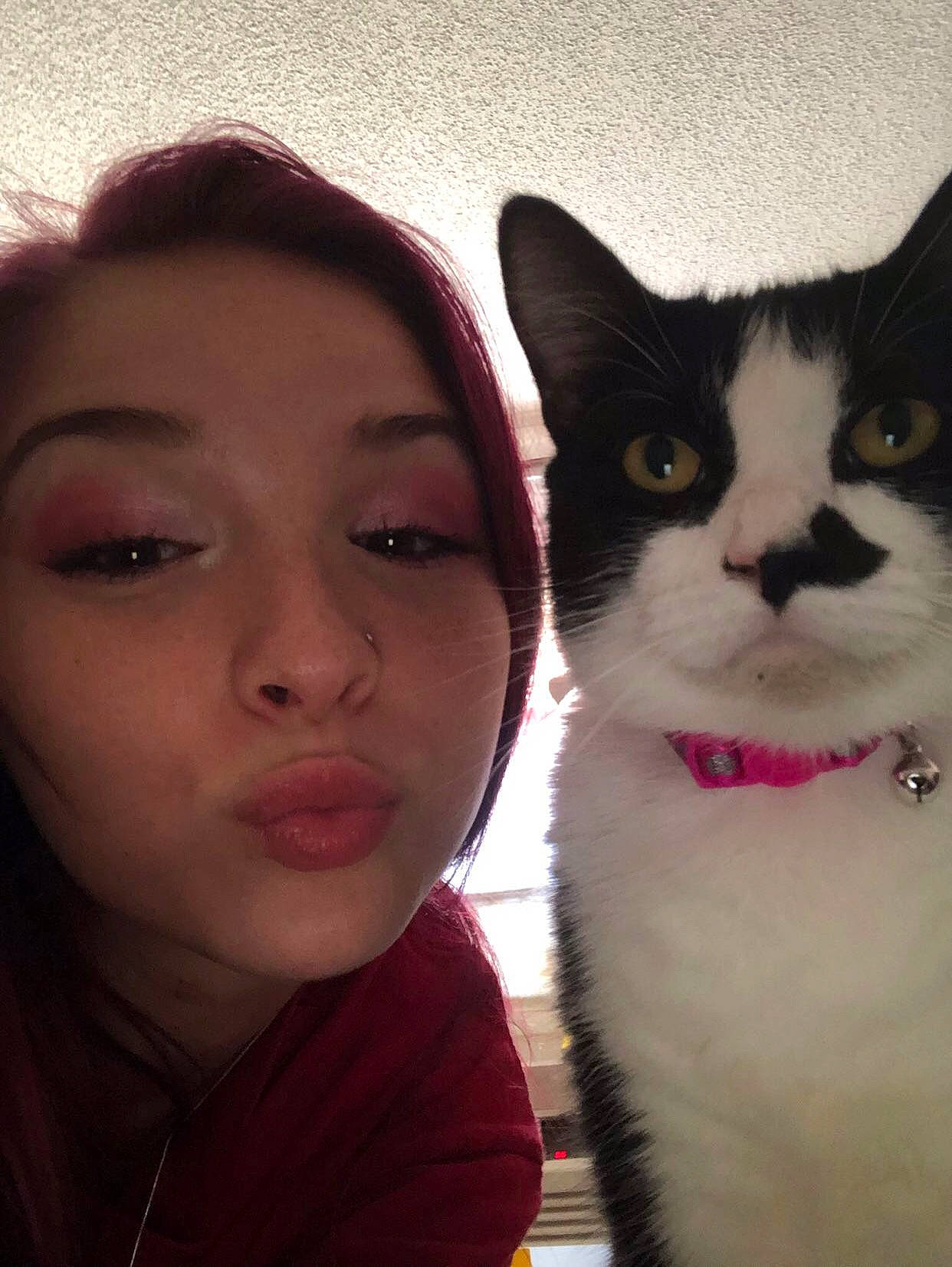 Jill joined the competition — help win amazing prizes! black_hair, carnivore, cat, cheek, domestic_short_haired_cat, eyebrow, eyelash, felidae, fur, happy, iris, jaw, lip, mouth, nose, skin, small_to_medium_sized_cats, snout, tail, whiskers