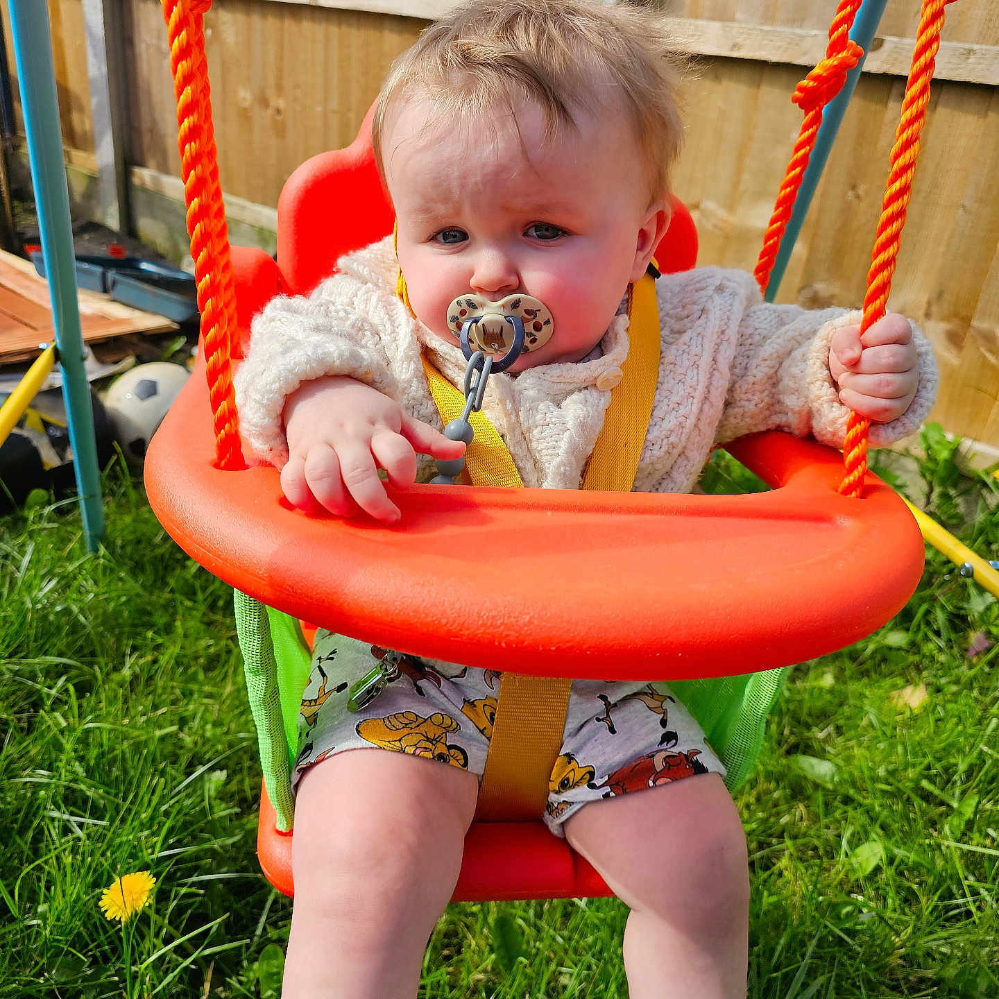 Jenson is registered to the contest to win money with this photo: baby, backyard, bodypart, face, finger, grass, hand, head, nature, outdoorplayarea, outdoors, person, photography, plant, playarea, portrait, sitting, summer, toy, yard