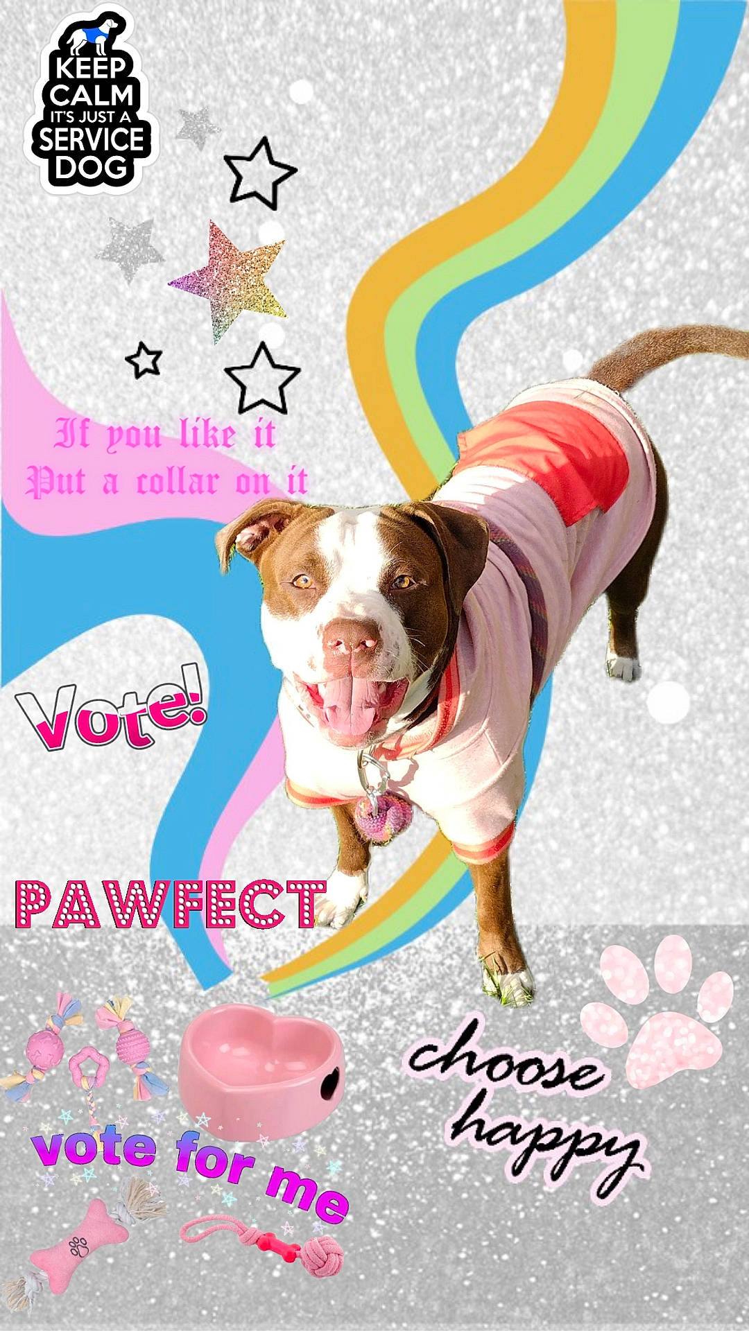 Duchess Marie joined the competition — help win amazing prizes! canidae, carnivore, circle, collar, companion_dog, design, dog, dog_breed, dog_clothes, dog_supply, fawn, font, illustration, magenta, pet_supply, pink, poster, snout, sporting_group, working_animal