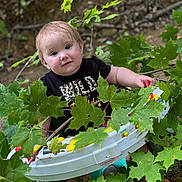 Carly is registered to the contest to win money with this photo: baby, child, infant, outdoor, nature, green_leaves, tree_branch, baby_chair, wet_hair, black_shirt, play_toy, curious, sitting, face, person, young_child, smiling, cute, woodland, summer
