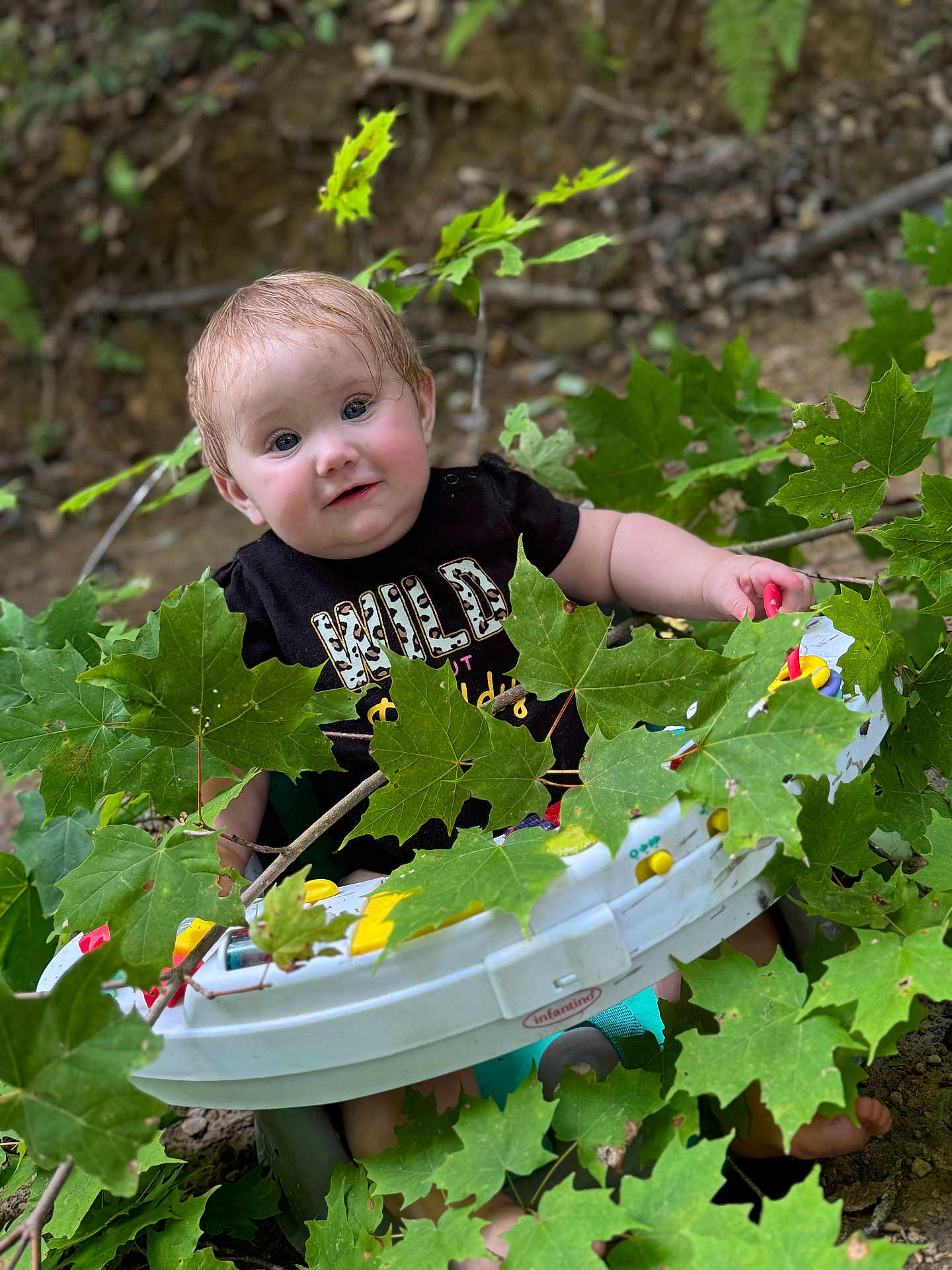 Carly is registered to the contest to win money with this photo: baby, child, infant, outdoor, nature, green_leaves, tree_branch, baby_chair, wet_hair, black_shirt, play_toy, curious, sitting, face, person, young_child, smiling, cute, woodland, summer