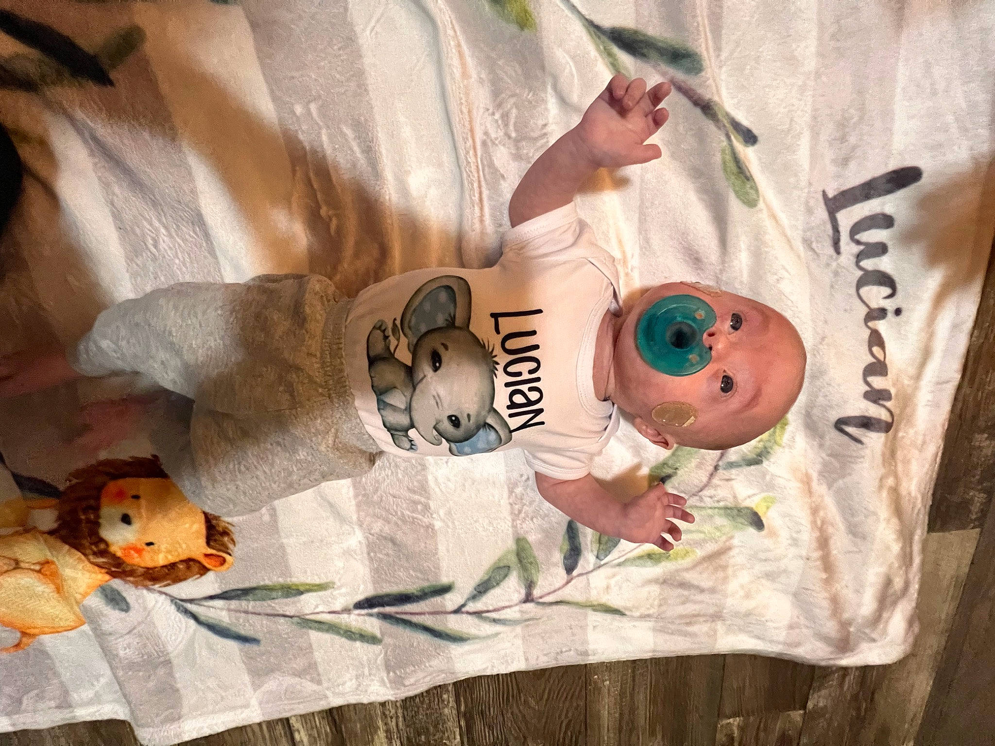Lucian is registered to the contest to win money with this photo: art, baby, baby_toddler_clothing, child, circle, font, happy, illustration, linens, mammal, paper, pattern, person, sleeve, stuffed_toy, t_shirt, toy, tree, vertebrate, visual_arts