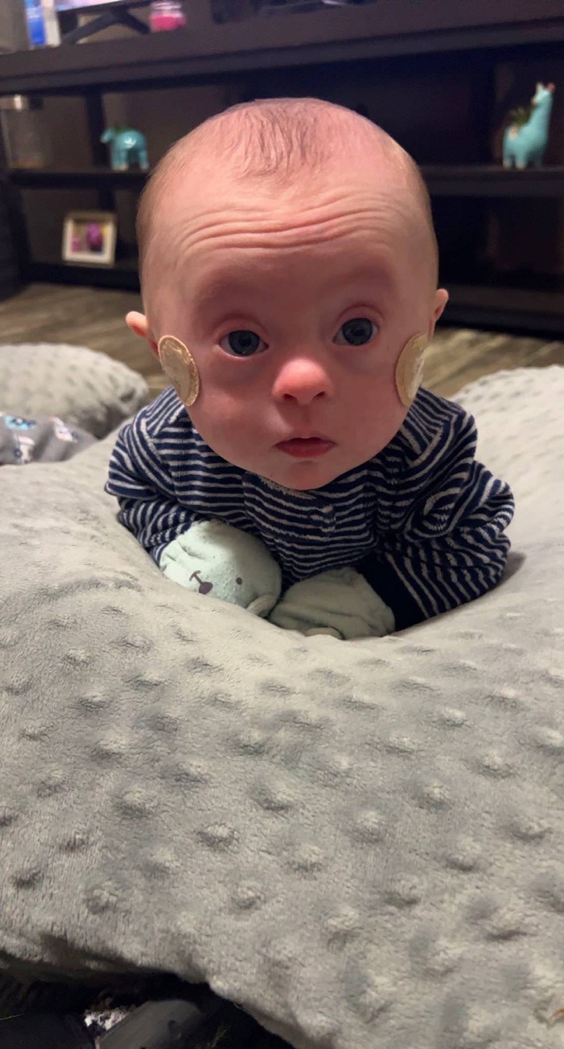Lamont is registered to the contest to win money with this photo: art, baby, carmine, carpet, cheek, child, chin, comfort, crawling, flooring, fun, grey, linens, monochrome, pattern, person, room, sitting, surprise, television