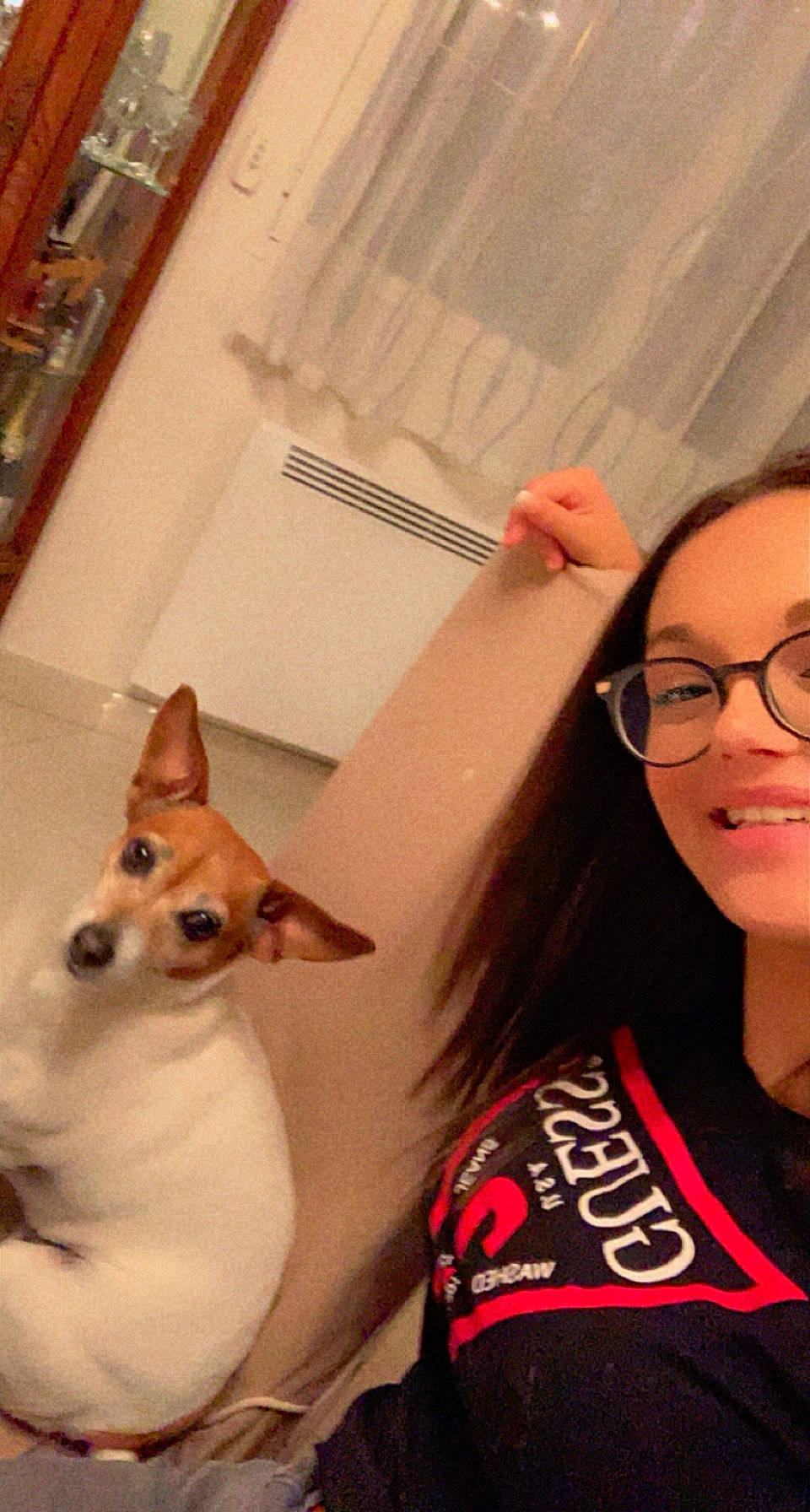 Joyce participe au concours pour gagner de l'argent avec cette photo : carnivore, companion_dog, dog, dog_breed, dog_supply, ear, eyebrow, eyewear, fawn, gesture, happy, jaw, organ, selfie, smile, snout, t_shirt, vertebrate, vision_care, whiskers