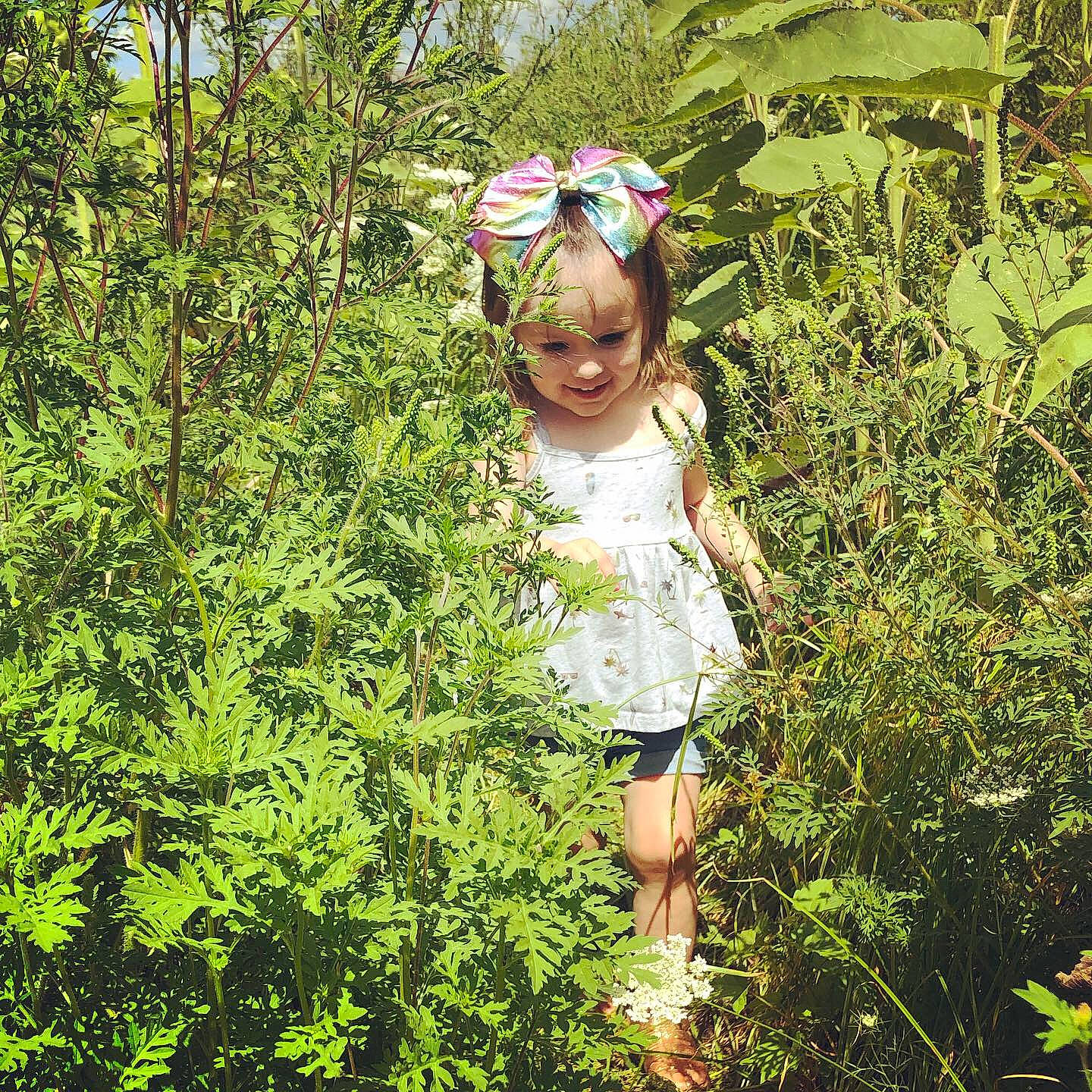 Bexley is registered to the contest to win money with this photo: adaptation, botany, child, forest, grass, jungle, leaf, natural_environment, organism, people_in_nature, person, plant, plant_community, rainforest, shrub, spring, summer, sunlight, tree, vegetation