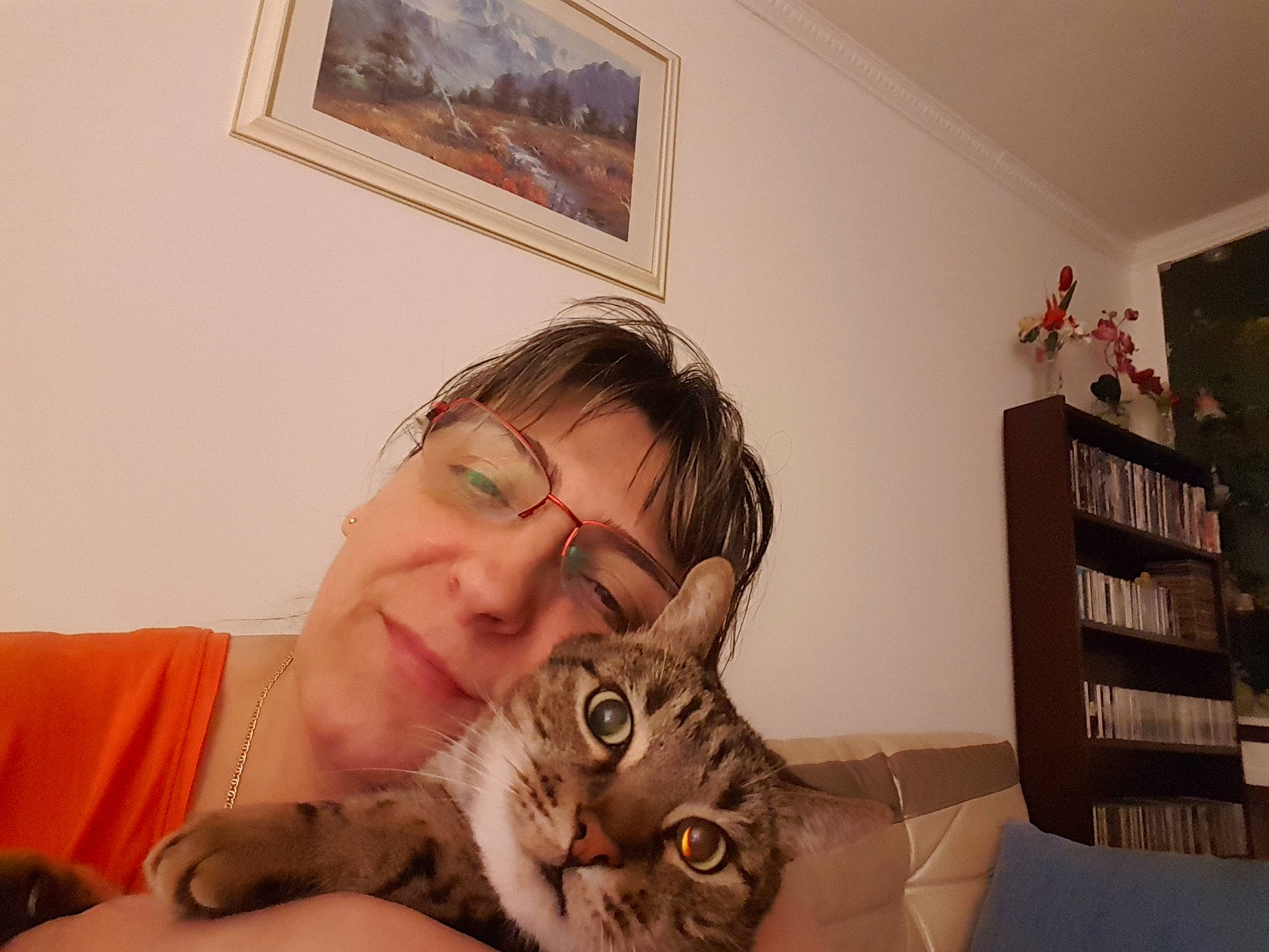 Canelle participe au concours pour gagner de l'argent avec cette photo : american_curl, american_shorthair, asian, carnivore, cat, domestic_short_haired_cat, ear, european_shorthair, eye, felidae, fur, hair, long_hair, maine_coon, nose, person, pixie_bob, room, small_to_medium_sized_cats, tabby_cat