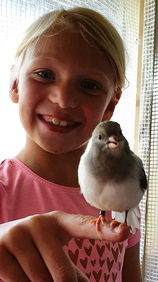 Eryn joined the competition — help win amazing prizes! beak, bird, eye, fawn, hand, joy, neck, parrot, perching_bird, person, skin, smile