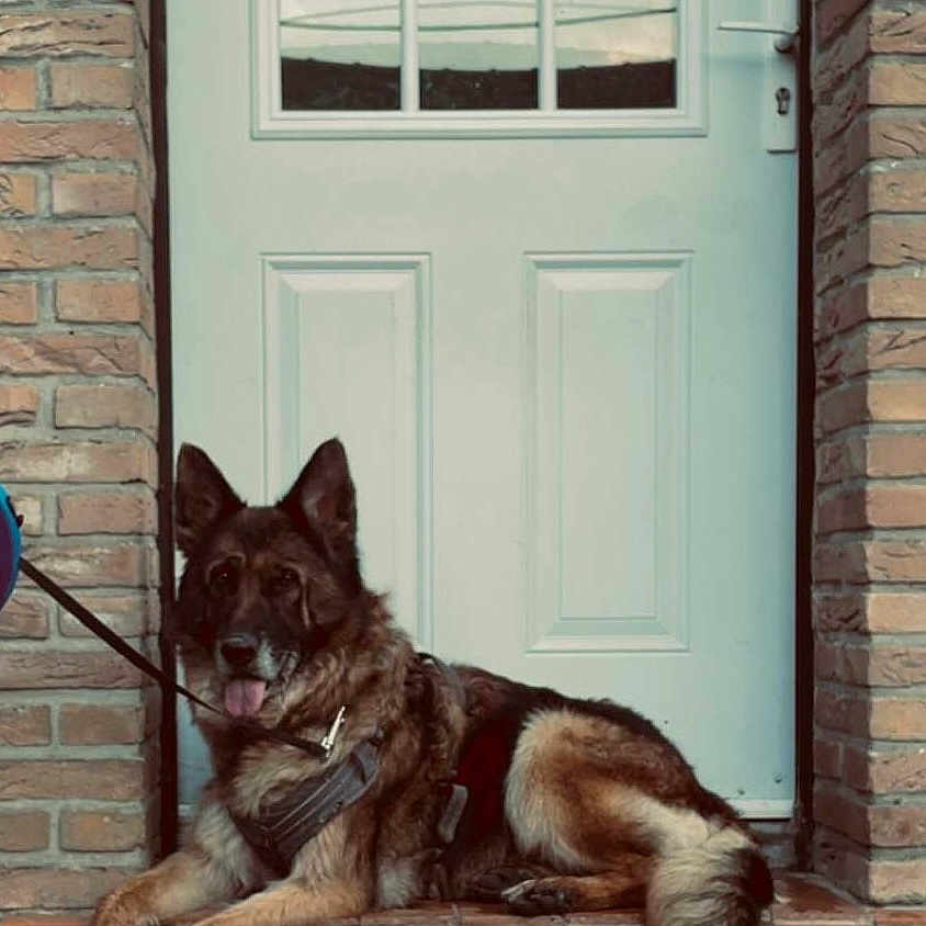 Roxy