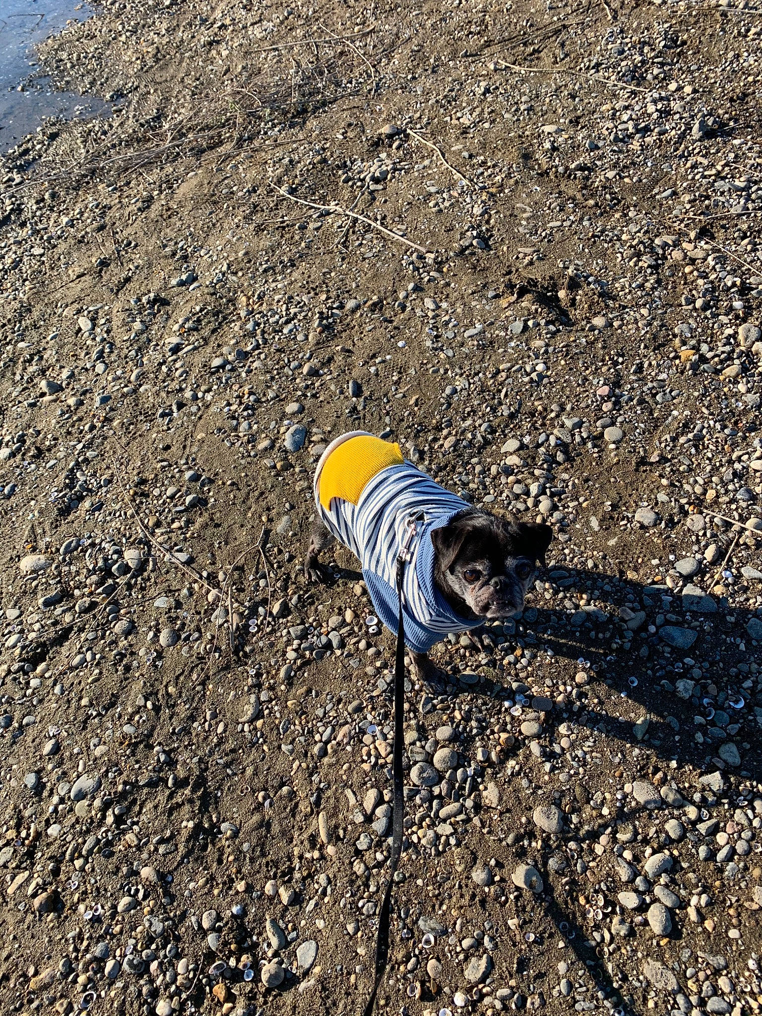 Desmond is registered to the contest to win money with this photo: asphalt, geological_phenomenon, road_surface, rock, sand, shadow, soil