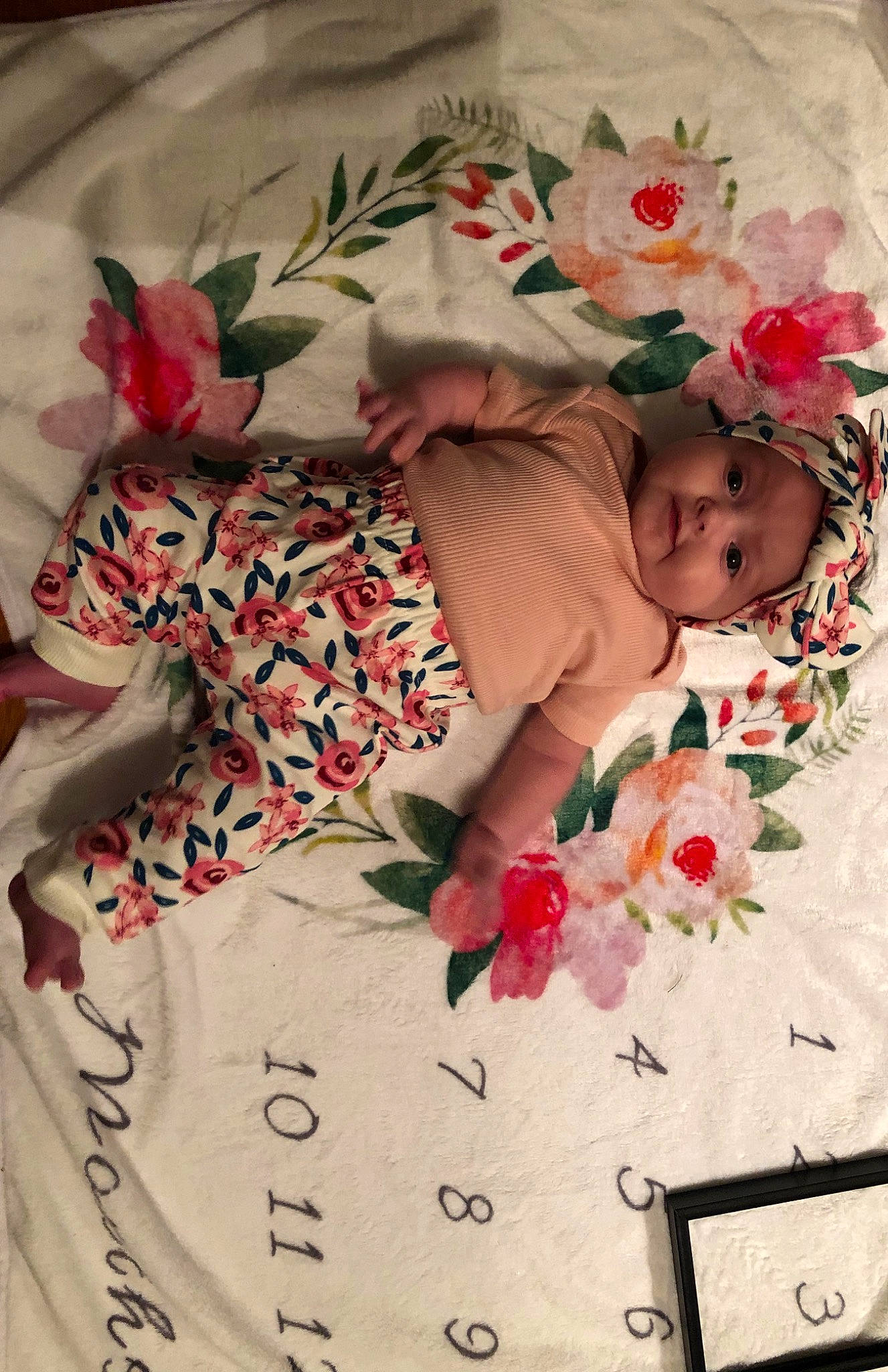 Hensley is registered to the contest to win money with this photo: baby, child, flower, headwear, person, petal, plant, red, sleep, textile, toddler, tree