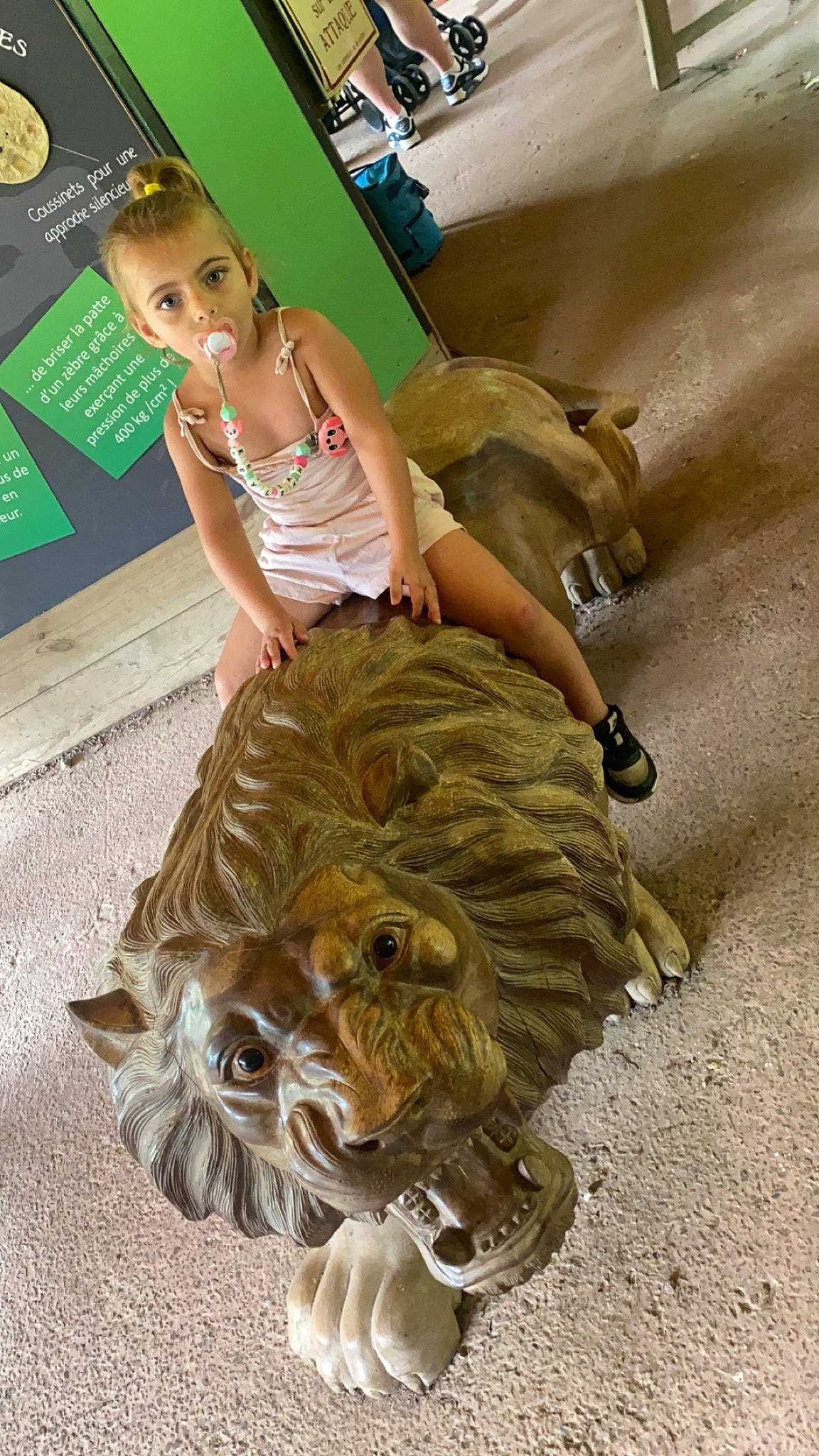 Keyliãh a rejoint le concours — aidez-le/la à gagner de superbes lots ! canidae, carnivore, companion_dog, costume, dog, dog_breed, event, fashion_design, fawn, felidae, flooring, fun, fur, happy, person, small_terrier, sporting_group, terrier, thigh, toy_dog