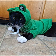 Mika is registered to the contest to win money with this photo: animal, black_cat, cat, clothing, costume, curious, cute, domestic_animal, feline, floor, green_hoodie, hood, indoor, lying_down, pet, playful, tile_floor, whiskers, white_paws, wide_eyes