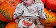Cooper is registered to the contest to win money with this photo: baby, sleeping, pumpkins, orange, autumn, hat, blanket, outdoor, fall, cute, child, clothing, nature, seasonal, grass, resting, soft, warm, festive, holiday