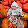 baby, sleeping, pumpkins, orange, autumn, hat, blanket, outdoor, fall, cute, child, clothing, nature, seasonal, grass, resting, soft, warm, festive, holiday