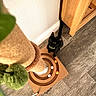 cat, kitten, black_cat, pet, animal, sitting, looking_up, wide_eyes, collar, indoors, home, floor, wood_floor, cat_toy, scratching_post, furniture, cabinet, wall, portrait, playful