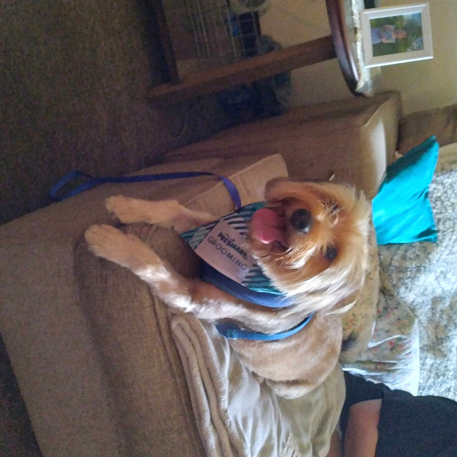 Mr Boston