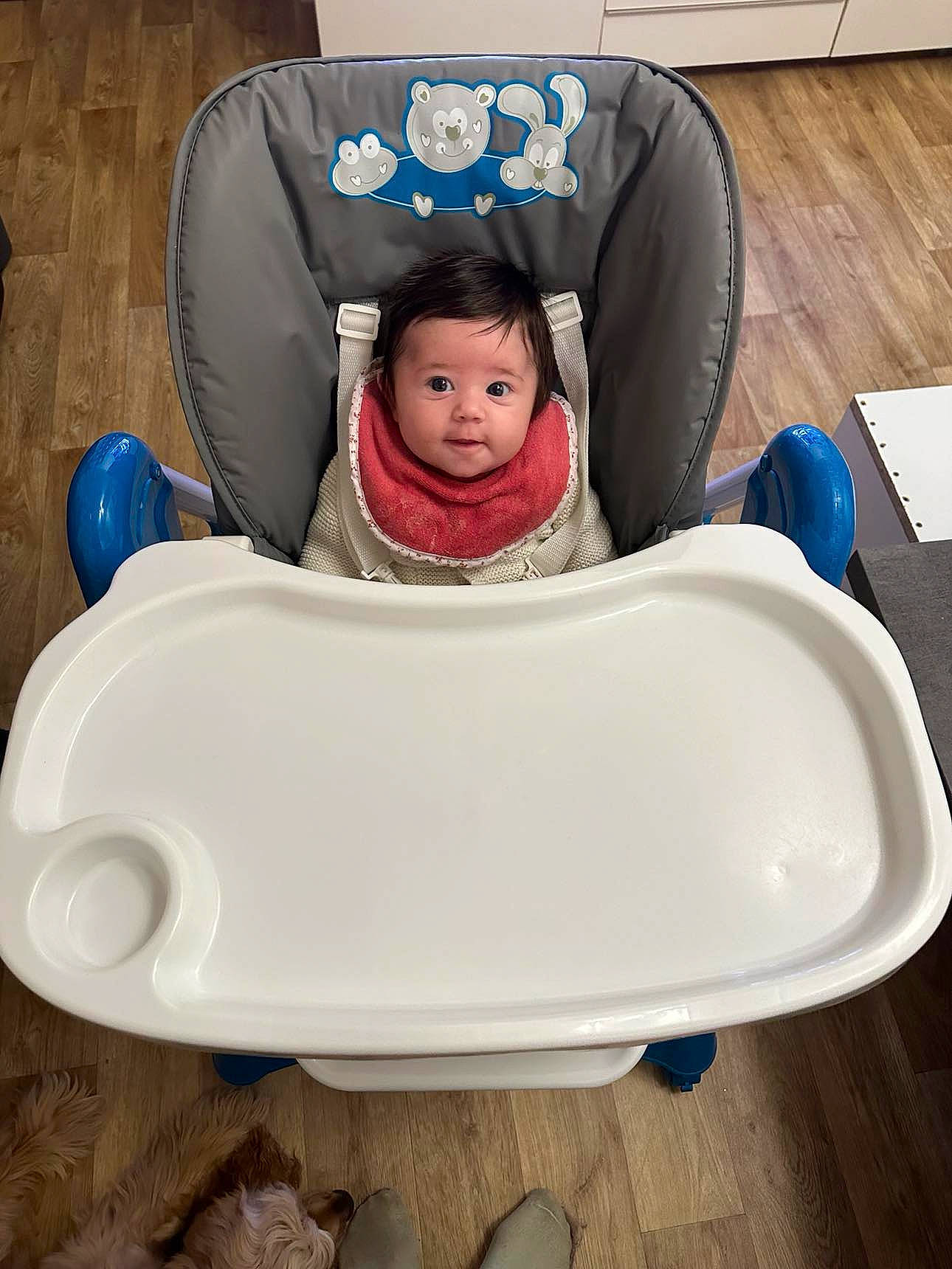 Mya participe au concours pour gagner de l'argent avec cette photo : auto_part, baby, baby_products, baby_toddler_clothing, baby_toys, blue, child, circle, comfort, flooring, fun, leisure, oval, person, plastic, play, product, recreation, sitting, toddler