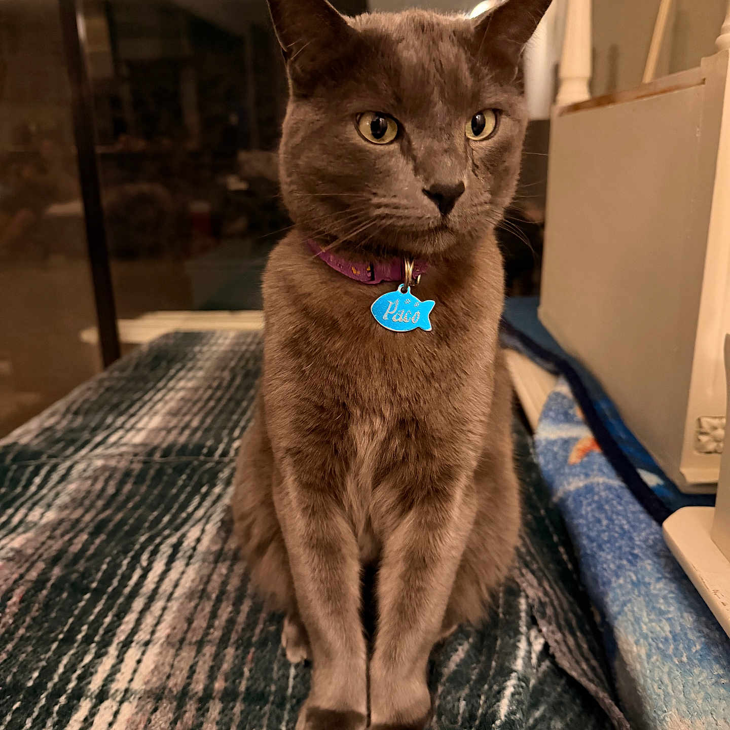 Paco