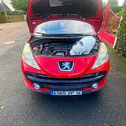 Princesse participe au concours pour gagner de l'argent avec cette photo : cat, car, peugeot, red_car, engine, engine_bay, open_hood, automobile, vehicle, outdoor, street, driveway, residential_area, garden, gate, hedge, license_plate, curious, white_and_gray, mechanical