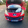 cat, car, peugeot, red_car, engine, engine_bay, open_hood, automobile, vehicle, outdoor, street, driveway, residential_area, garden, gate, hedge, license_plate, curious, white_and_gray, mechanical
