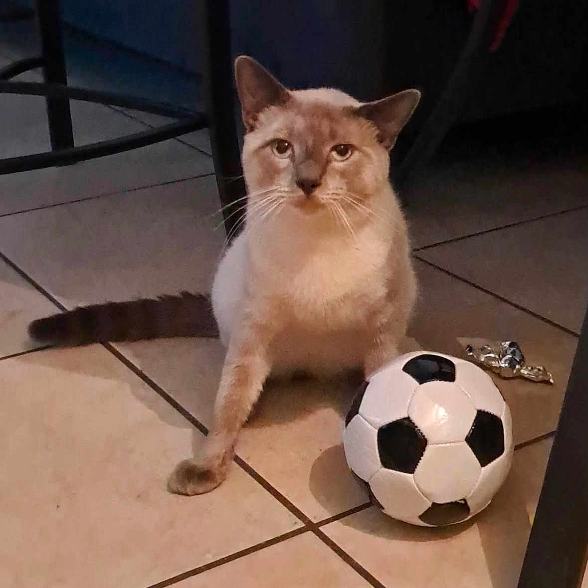 Coco