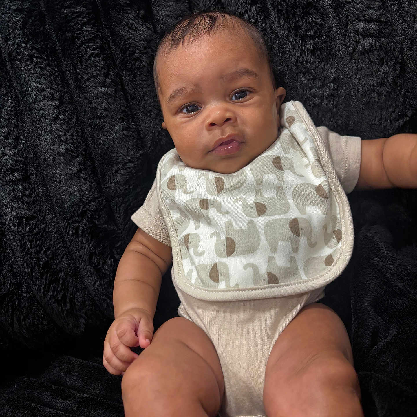 Kasai is registered to the contest to win money with this photo: arm, baby, baby_bib, bib, black_blanket, child, clothing, cute, elephant_print, eyes, face, indoors, infant, leg, lying_down, newborn, onesie, portrait, skin, soft_texture