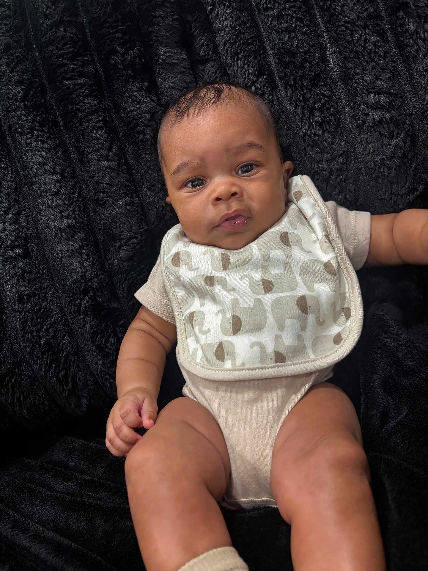 Kasai is registered to the contest to win money with this photo: baby, infant, child, onesie, bib, elephant_print, black_blanket, soft_texture, skin, face, eyes, arm, leg, cute, portrait, indoors, lying_down, clothing, newborn, baby_bib
