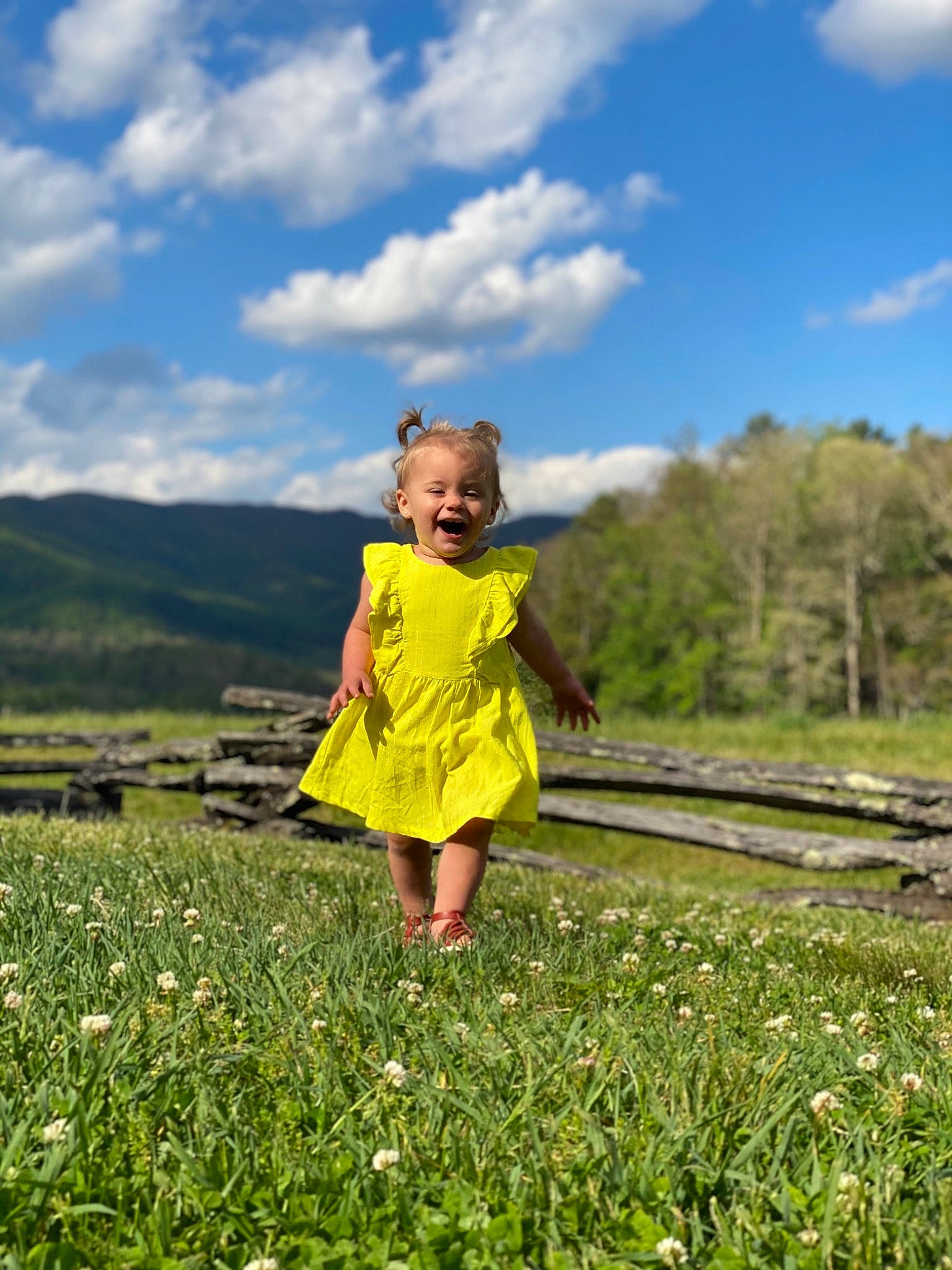 Emmie Lou is registered to the contest to win money with this photo: baby_toddler_clothing, cloud, flash_photography, flower, grass, grass_family, grassland, happy, landscape, leisure, meadow, natural_landscape, people_in_nature, person, plain, plant, prairie, sky, toddler, tree