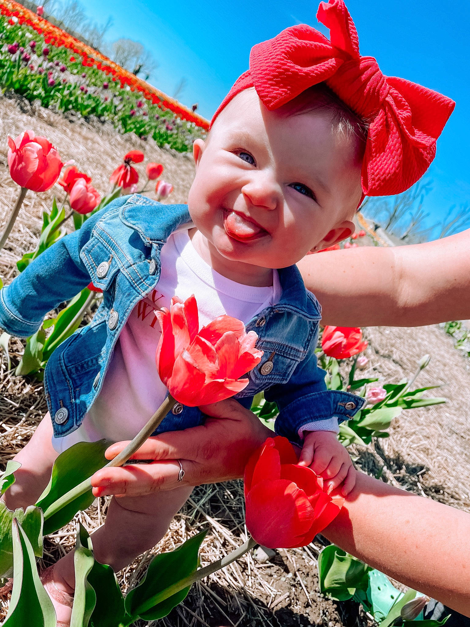 Bria is registered to the contest to win money with this photo: baby_toddler_clothing, botany, face, flower, fun, grass, happy, joy, leaf, leisure, people_in_nature, person, petal, pink, plant, recreation, red, sky, smile, summer
