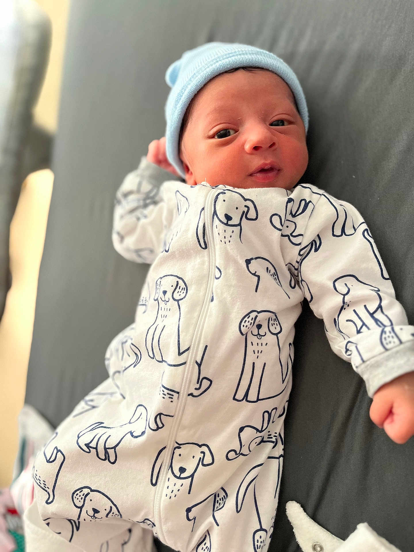 Liam joined the competition — help win amazing prizes! baby, newborn, infant, hat, onesie, dog_pattern, clothing, lying_down, gray_background, cute, small_hand, face, portrait, child, sleepwear, soft_lighting, indoors, cozy, baby_garment, adorable